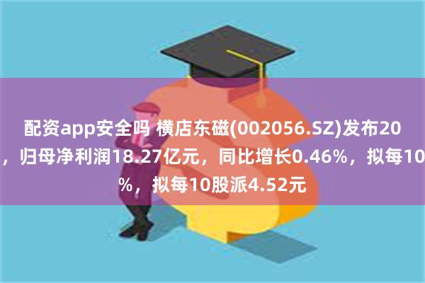 配资app安全吗 横店东磁(002056.SZ)发布2024年度业绩，归母净利润18.27亿元，同比增长0.46%，拟每10股派4.52元
