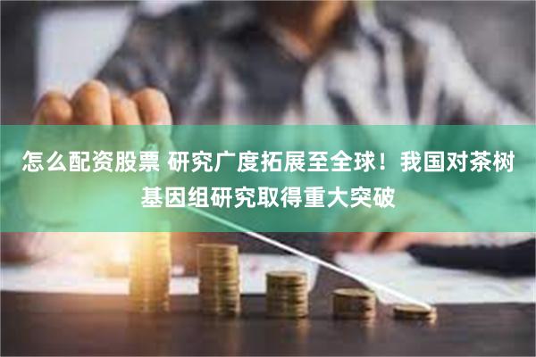 怎么配资股票 研究广度拓展至全球！我国对茶树基因组研究取得重大突破