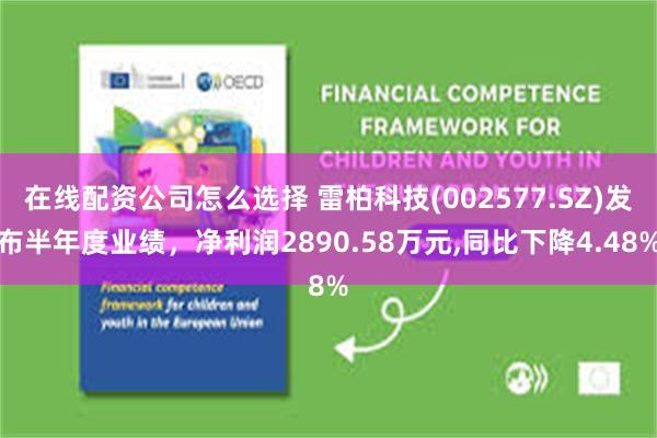 在线配资公司怎么选择 雷柏科技(002577.SZ)发布半年度业绩，净利润2890.58万元,同比下降4.48%