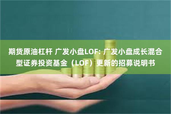 期货原油杠杆 广发小盘LOF: 广发小盘成长混合型证券投资基金(LOF)更新的招募说明书